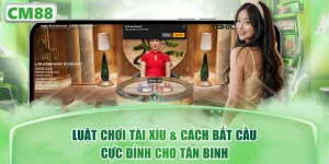 Luật Chơi Tài Xỉu & Cách Bắt Cầu Cực Đỉnh Cho Tân Binh